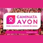 Flyer de Caminata AVON 2024