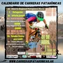 Flyer de Campeonato Abierto Regional Patagónico Norte XCO 2023 – 1° Fecha 2023