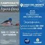 Flyer de Campeonato Nadadores de Aguas Frías Guaminí 2025