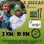 Flyer de Carrera a Ciegas 2024