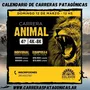 Flyer de Carrera Animal 2023