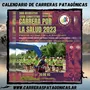Flyer de Carrera por la Salud 2023