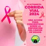 Flyer de Corrida Vial 2024