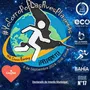 Flyer de Corro por las Aves Playeras 2024