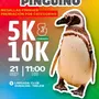 Flyer de Cross del Pingüino 2025