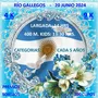 Flyer de Cross Running «Día de la bandera» 2024