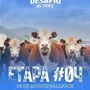 Flyer de Desafío del Fuerte – Balcarce 2025