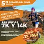 Flyer de Desafío del Puma Otoño 2025
