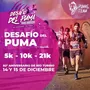 Flyer de Desafío del Puma 2024