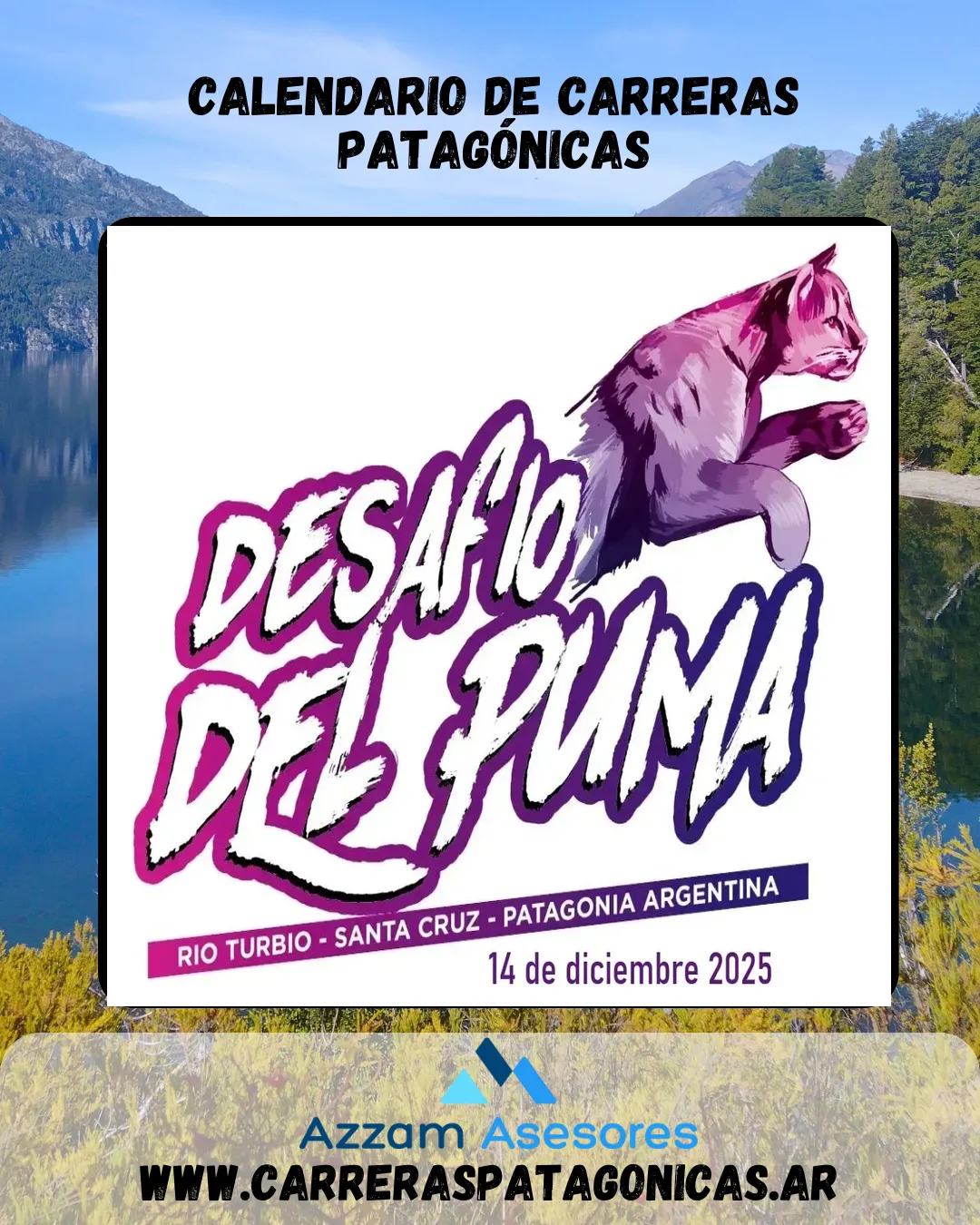 Flyer de Desafío del Puma 2025