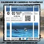 Flyer de Desafío Milla Náutica Aguas Abiertas 2023