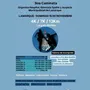 Flyer de Diabetes Corre 2025