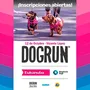 Flyer de DogRun 2025