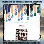 Flyer de Gesell Corre de Noche 2024