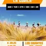 Flyer de La Gorila Trail 2025