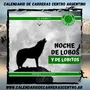Flyer de Noches de Lobos 2024
