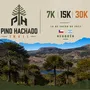 Flyer de Pino Hachado Trail 2027