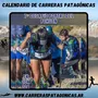 Flyer de Portal del Pehuén 2024