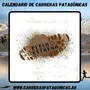 Flyer de Puelo Extremo 2024