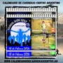 Flyer de Tandil Run Fest 2024