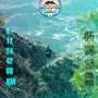 Flyer de Tierra de Gigantes 2026